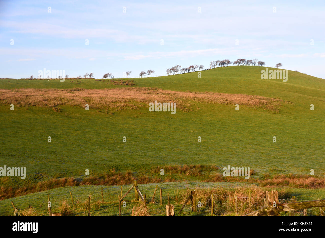 A Tree Lined Hill Top at Above Lowthwaite near the Northern Wainwright  Longlands Fell in the Lake District National Park, Cumbria, UK. Stock Photo