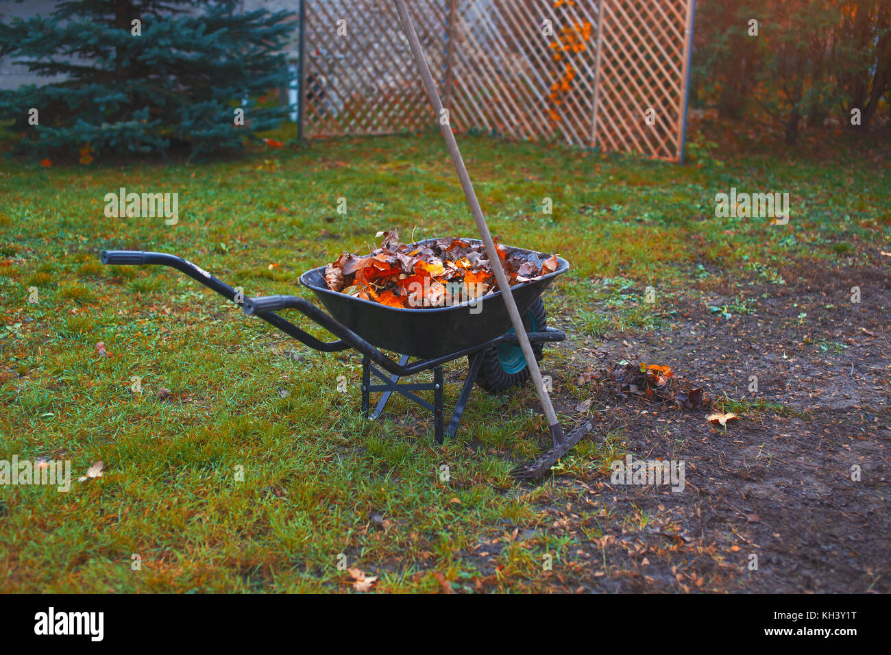 Wheelbarrow, rake and leaves color graded Stock Photo