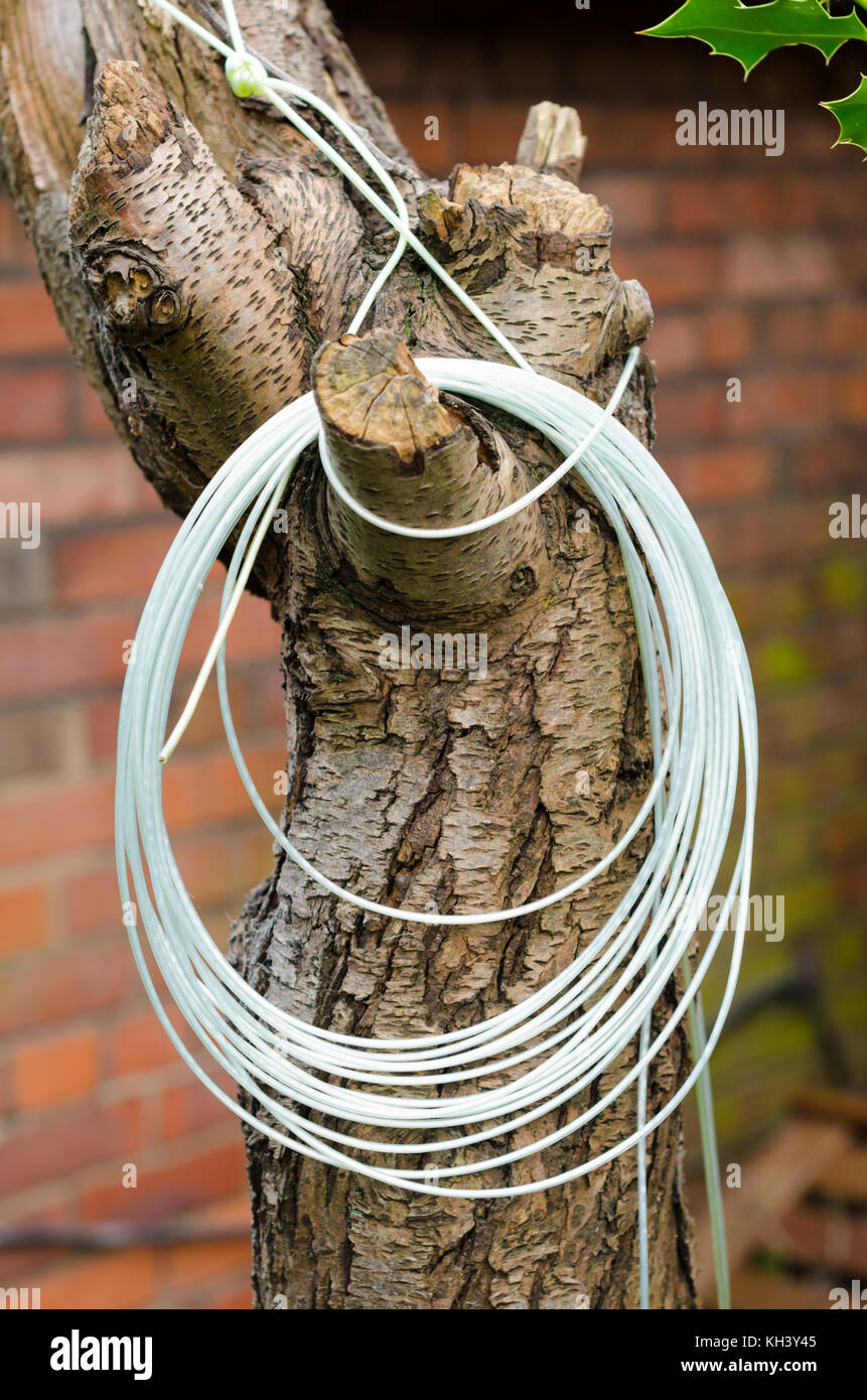 Bundled Nylon Rope, to be used as a clothes line Stock Photo - Alamy