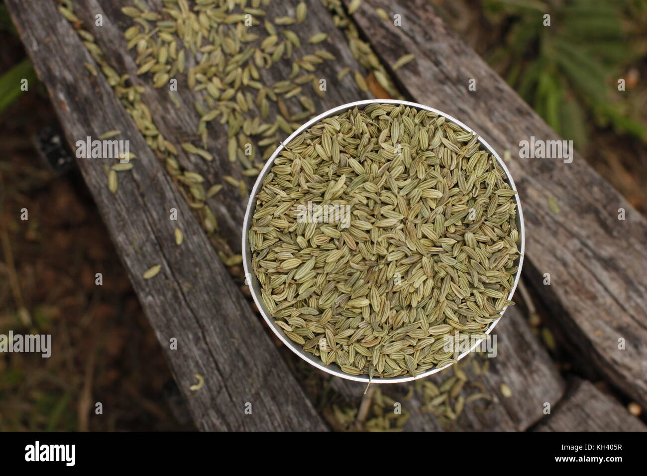Whole green fennel seeds in metal bowl on rustic background Stock Photo