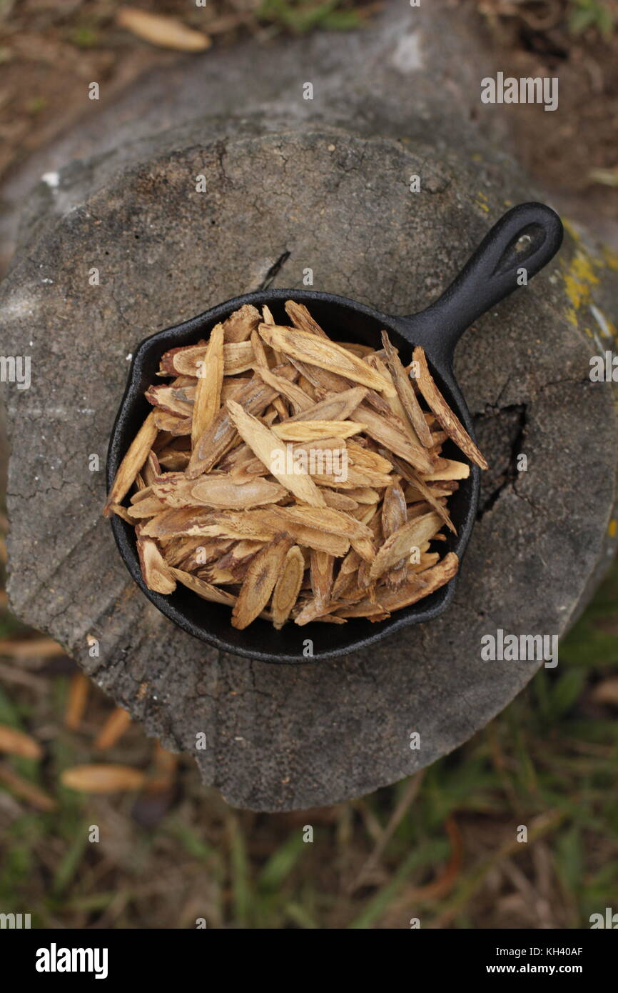 Sliced licorice root in iron pan over rustic wood trunk Stock Photo Alamy