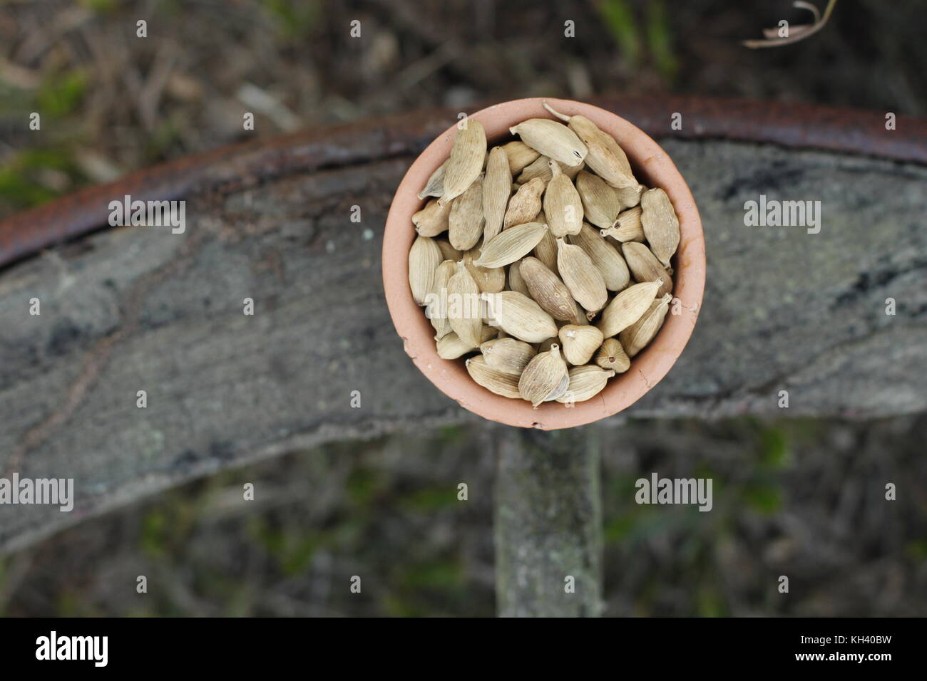 Green cardamom pods in clay bowl over rustic background Stock Photo