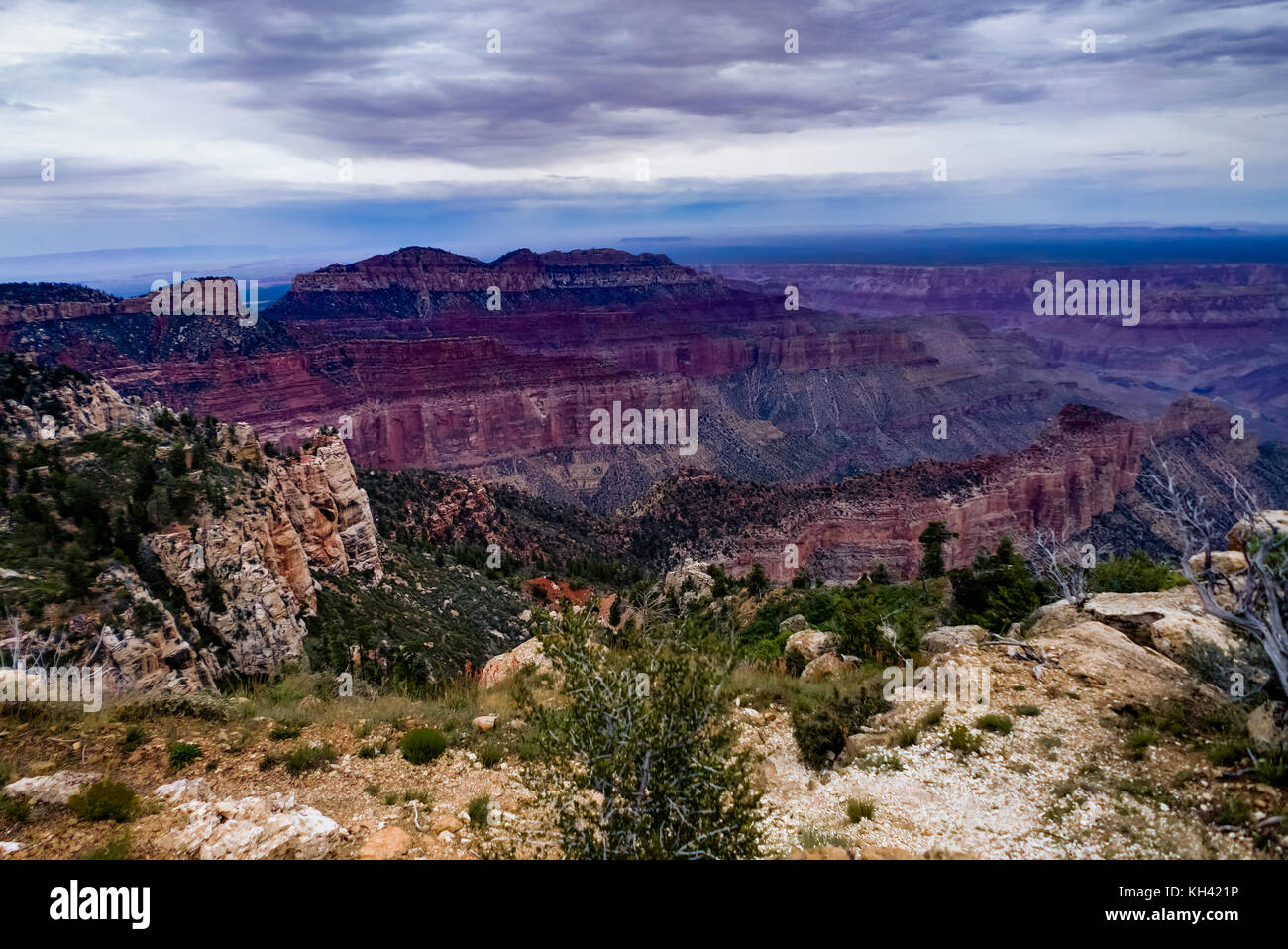View across Grand Canyon North Rim Arizona Stock Photo