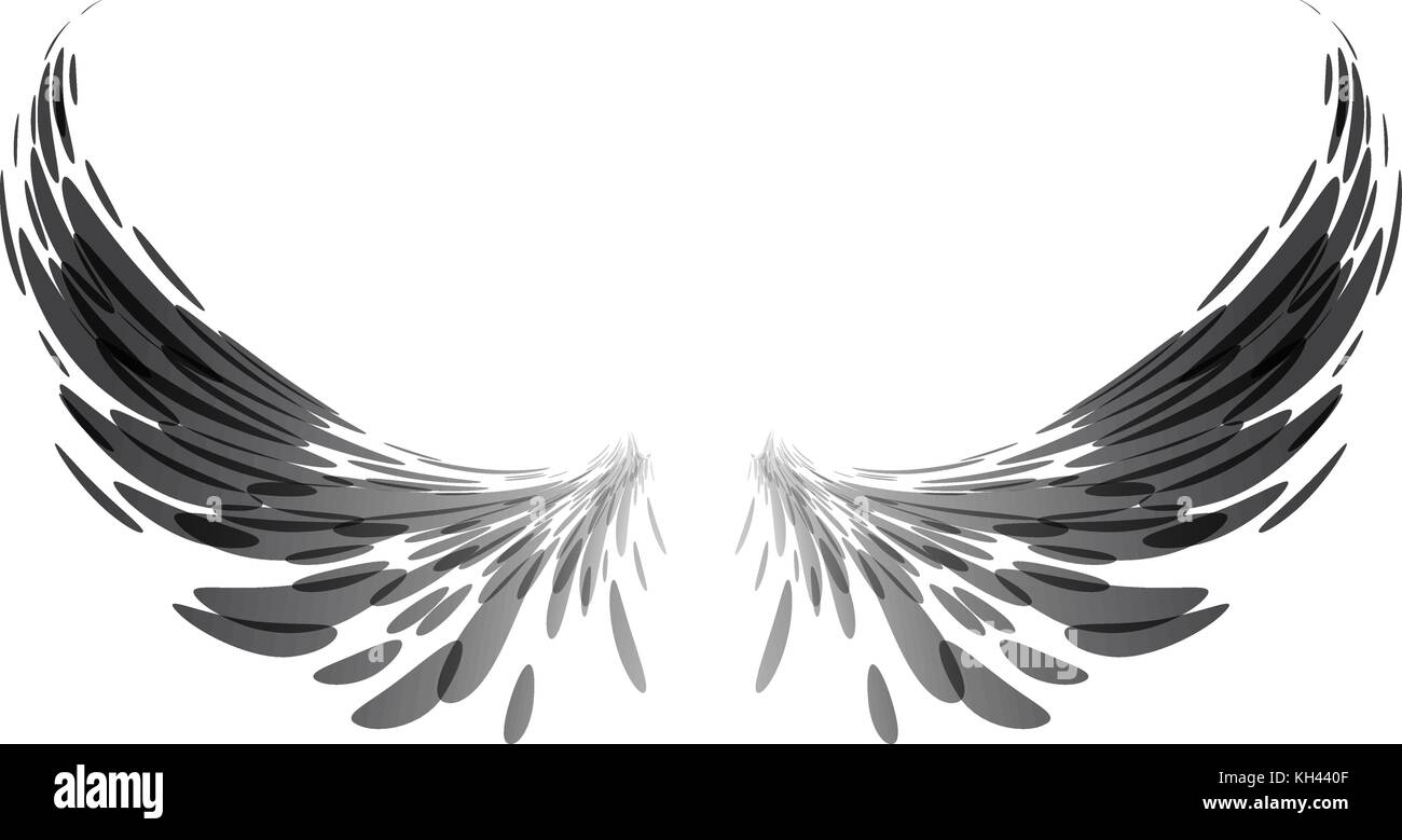 Wing wingspan Stock Vector Images - Alamy