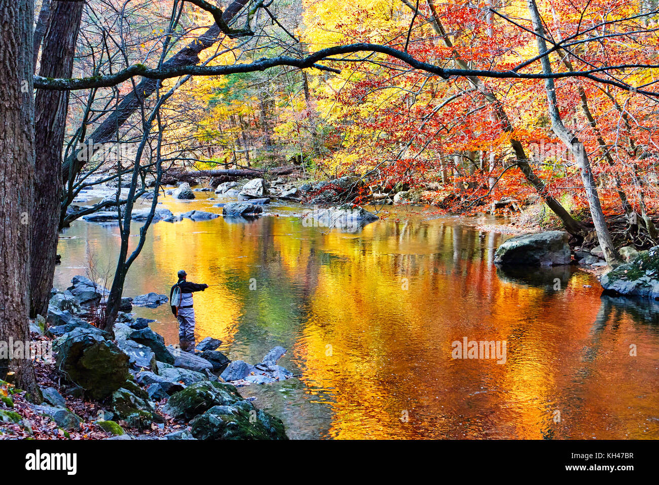 Scenic New Jersey Fall Fly Fishing Photograph by George Oze - Pixels