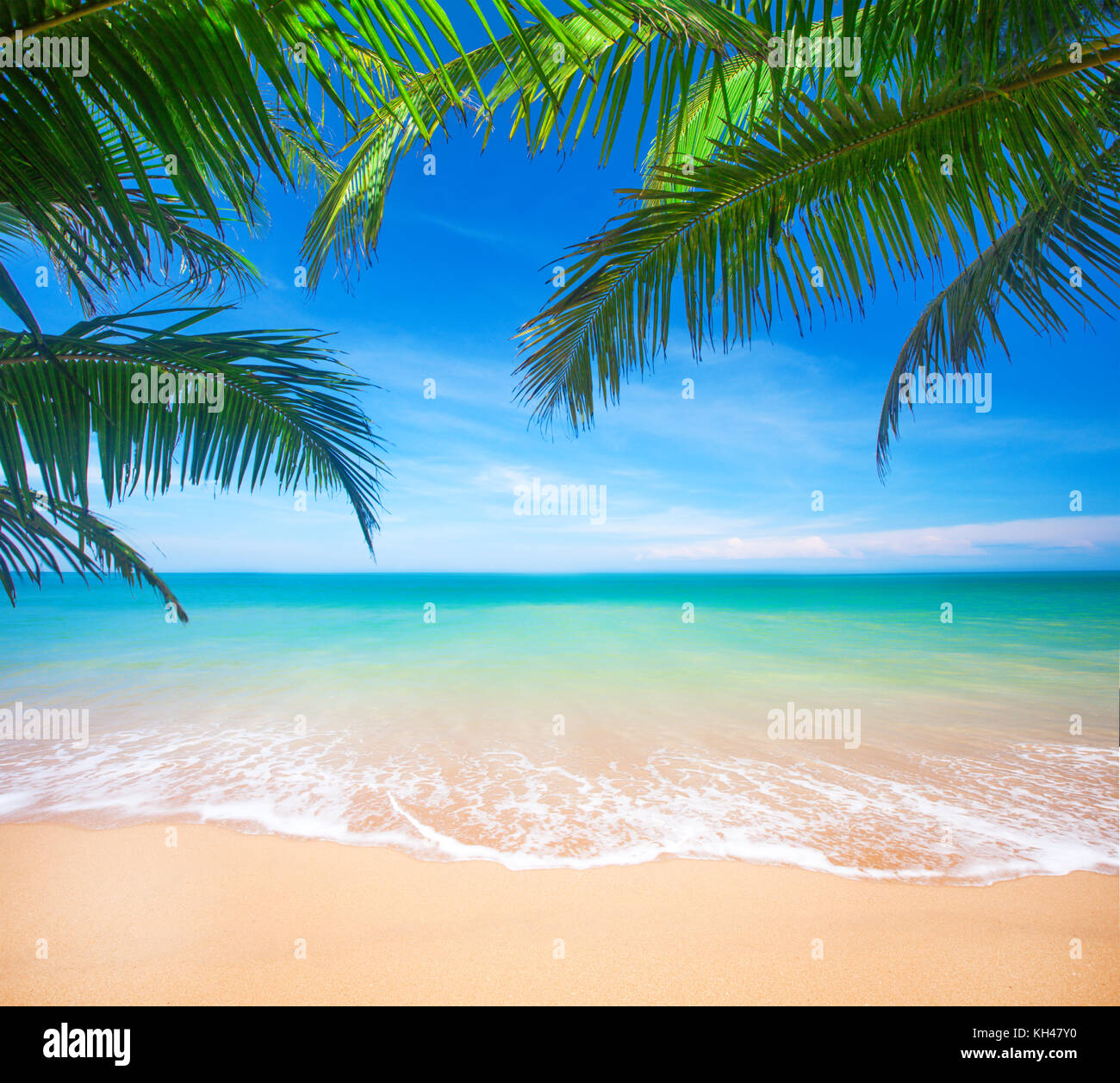Palm and tropical beach Stock Photo - Alamy