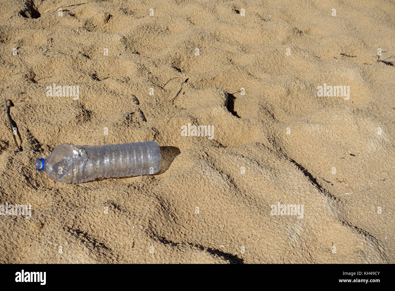 Empty plastic bottle lying on the beach Stock Photo