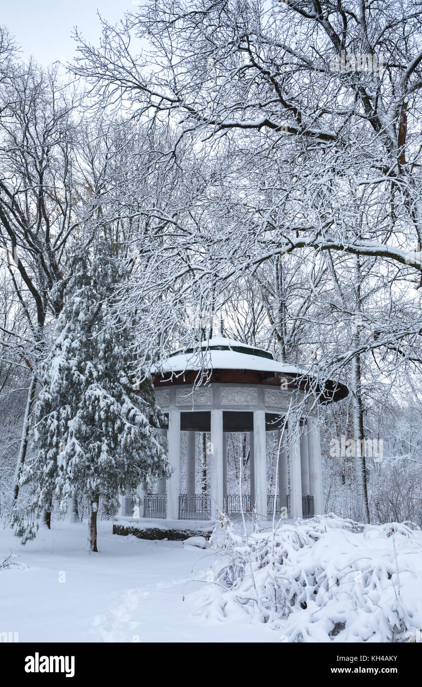 Beautiful winter snowy landscape in the park Stock Photo - Alamy