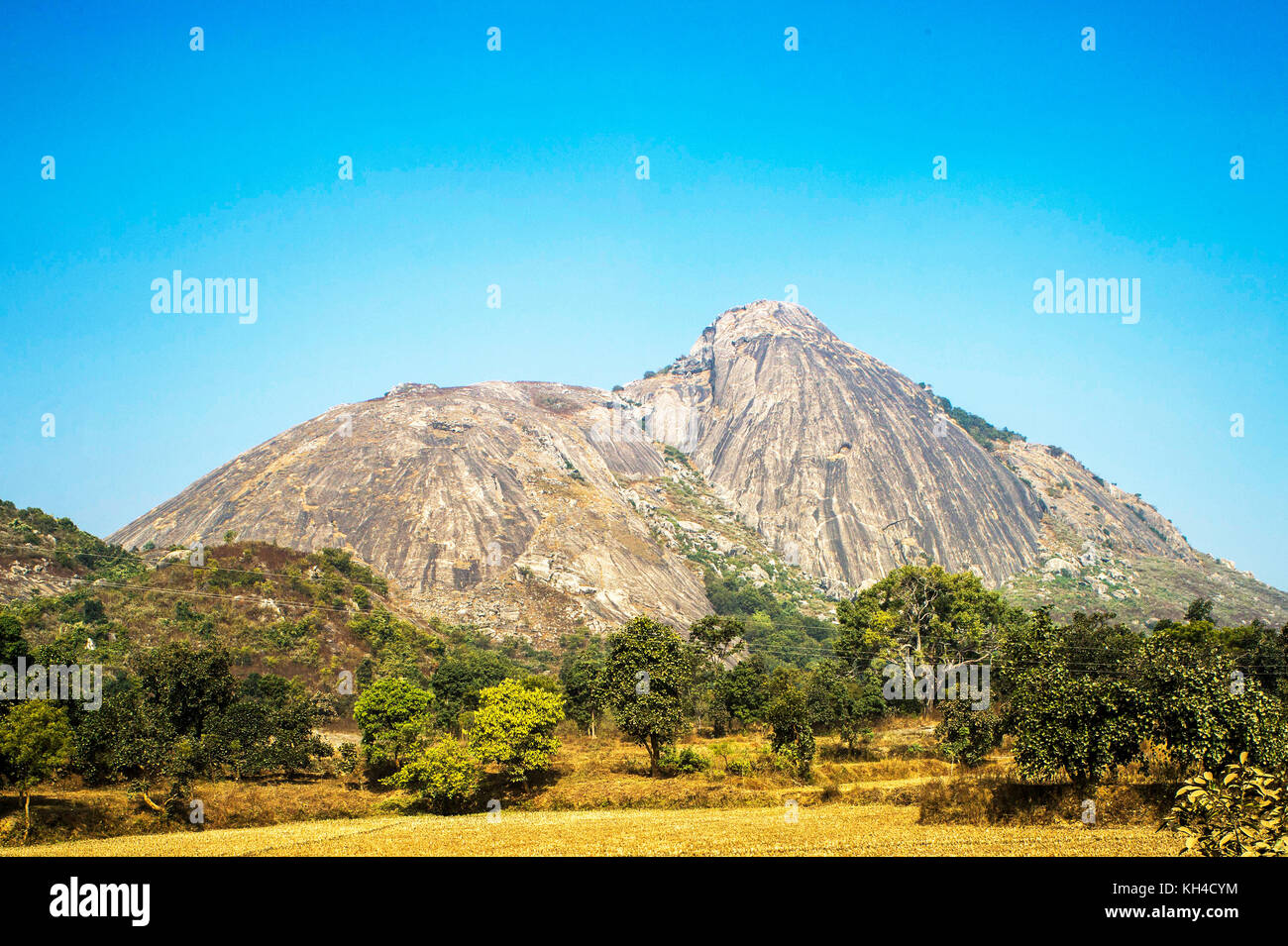 Jharkhand forest hi-res stock photography and images - Alamy