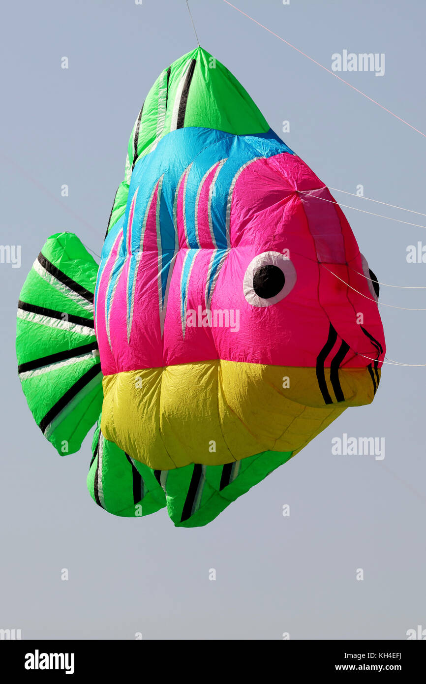 kite festival, Surat, Gujarat, India, Asia Stock Photo Alamy