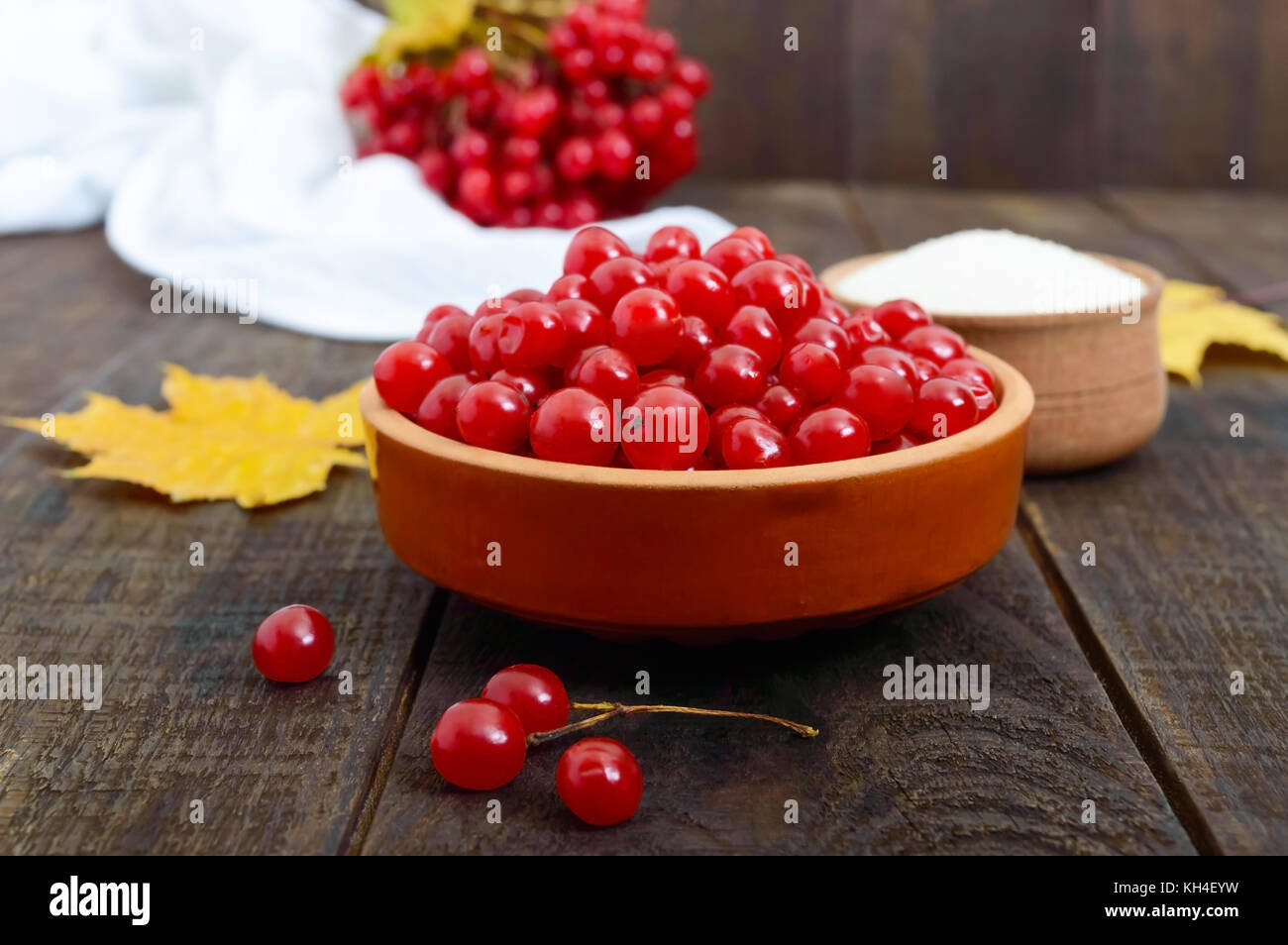 Red viburnum in a ceramic bowl, sugar, a bunch of berries for tea, jam