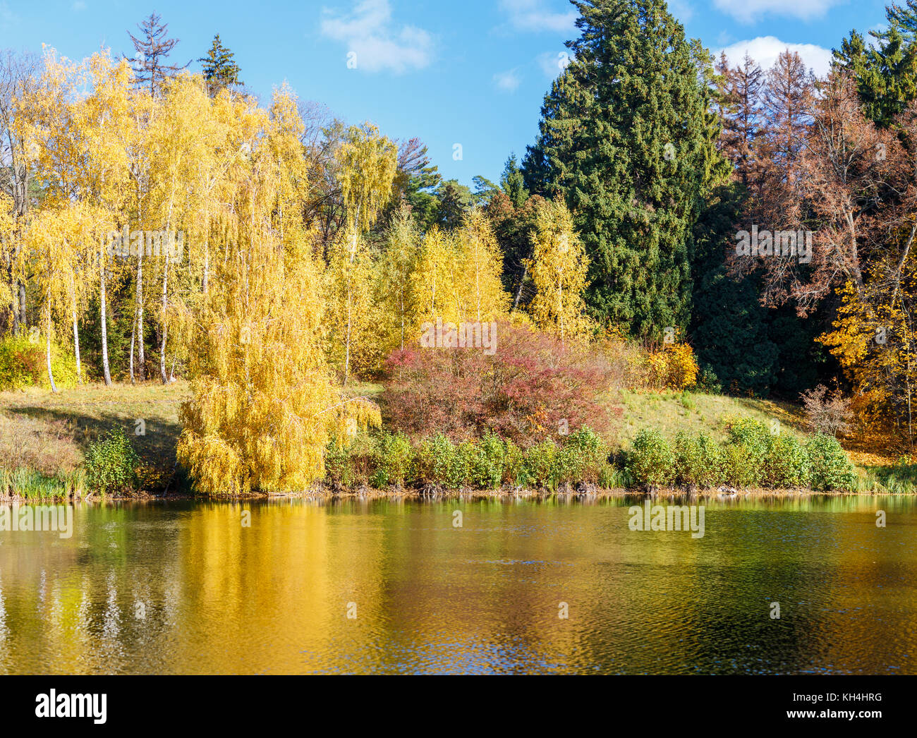 Autumn park with yellow and red foliage over scenery pond Stock Photo ...