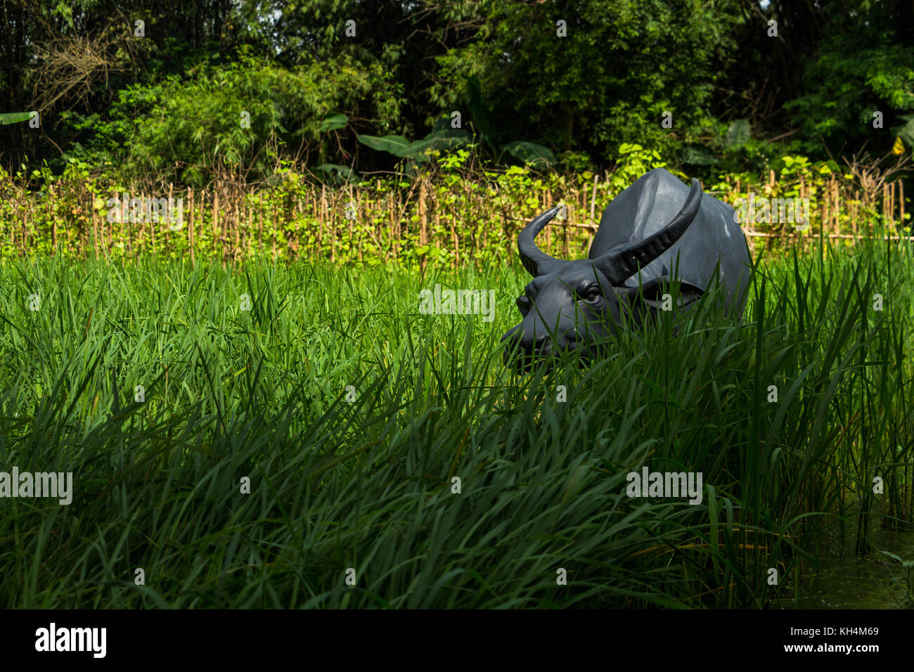 Bull statue in a rice paddy field in Vietnam Stock Photo