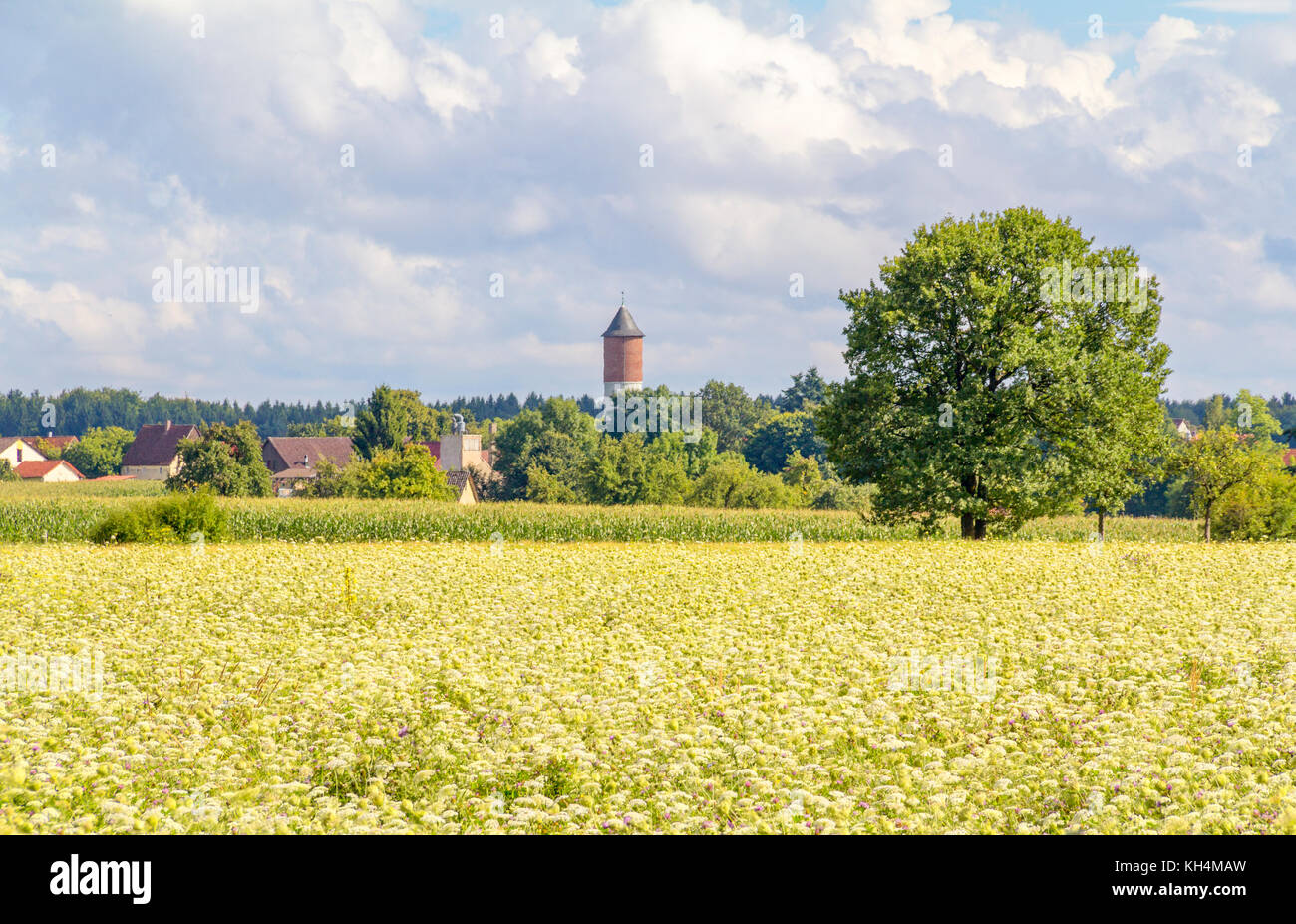 rural village in Hohenlohe, a area in Southern Germany Stock Photo