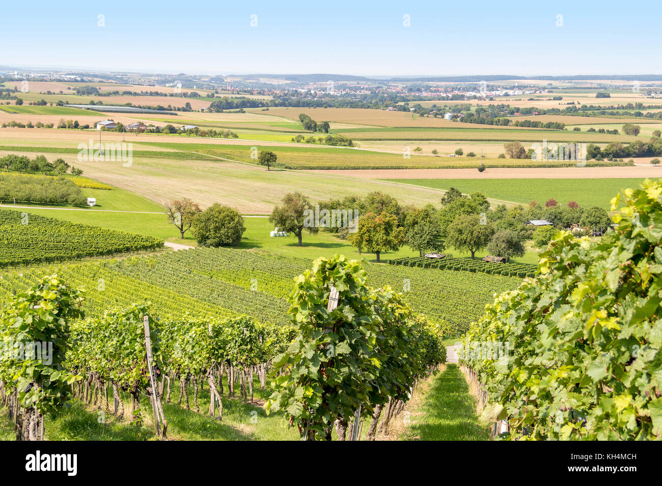 sunny winegrowing scenery in Hohenlohe, a area in Southern Germany at late summer time Stock Photo