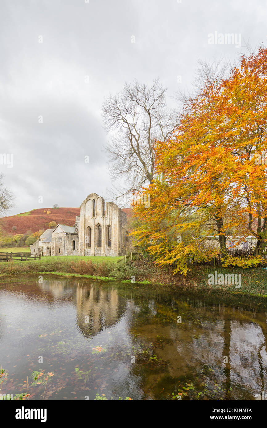 Autumn at Valle Crucis Abbey, Denbighshire, Wales, UK Stock Photo