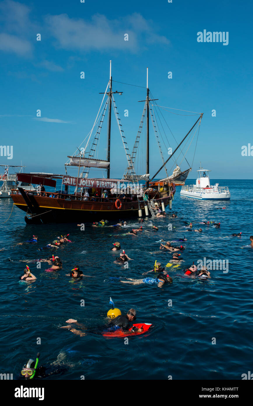 Caribbean, Leeward Islands, Aruba (part of the ABC Islands), Oranjestad. Tourists snorkeling off the Jolly Pirates boat around the Antilla shipwreck,  Stock Photo