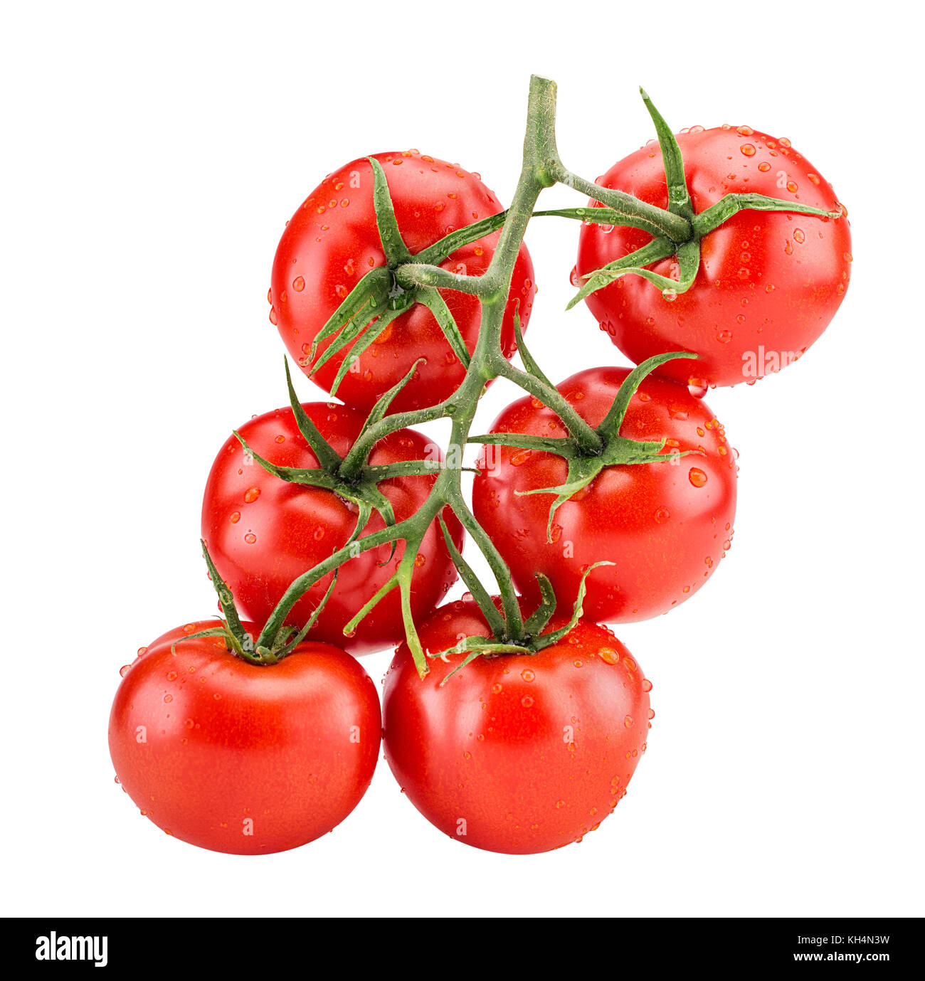 Big branch of fresh red tomato with green leaves with water drops isolated on white background Clipping Path Stock Photo
