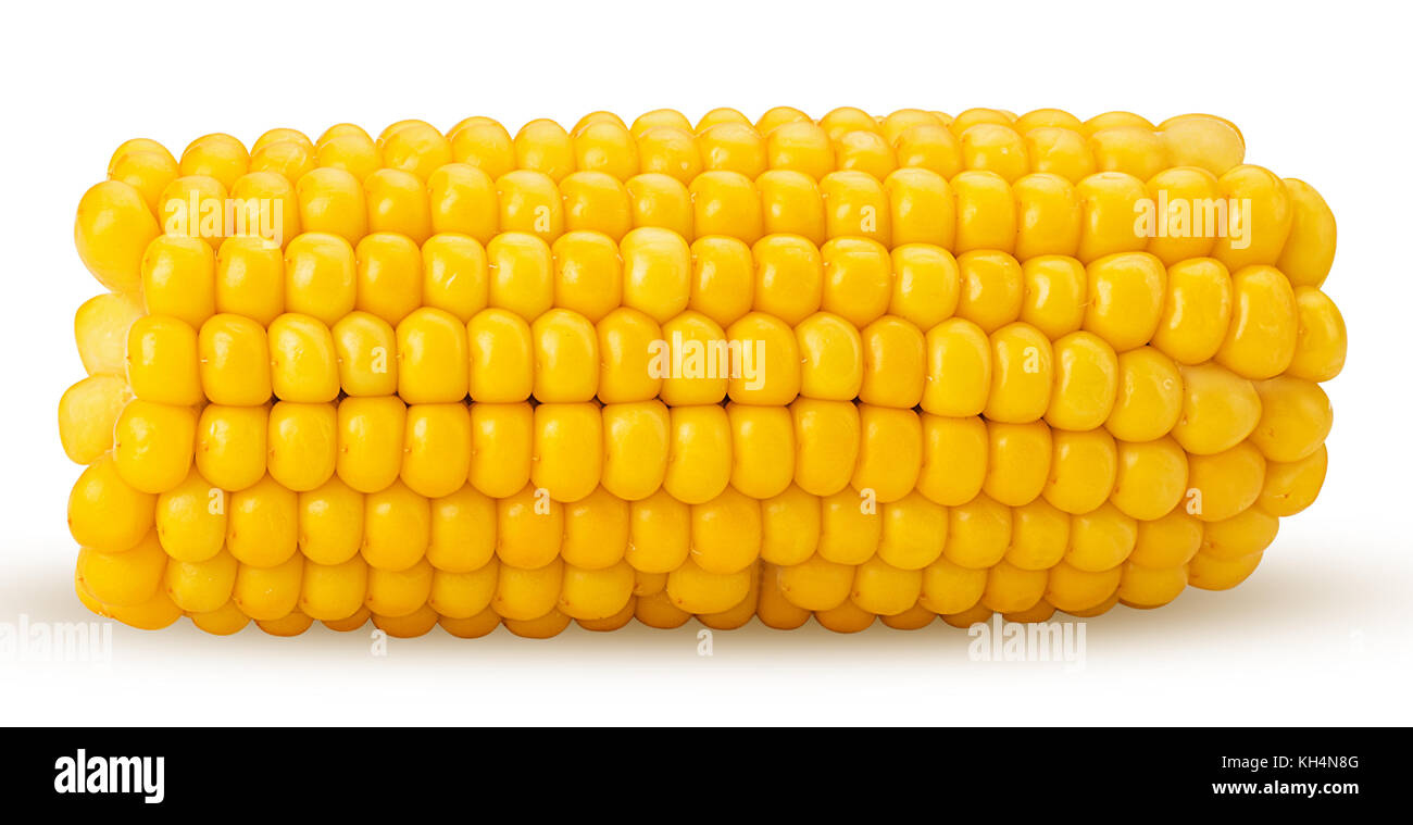 Ear of corn cut in half isolated on a white background. Fresh corncob