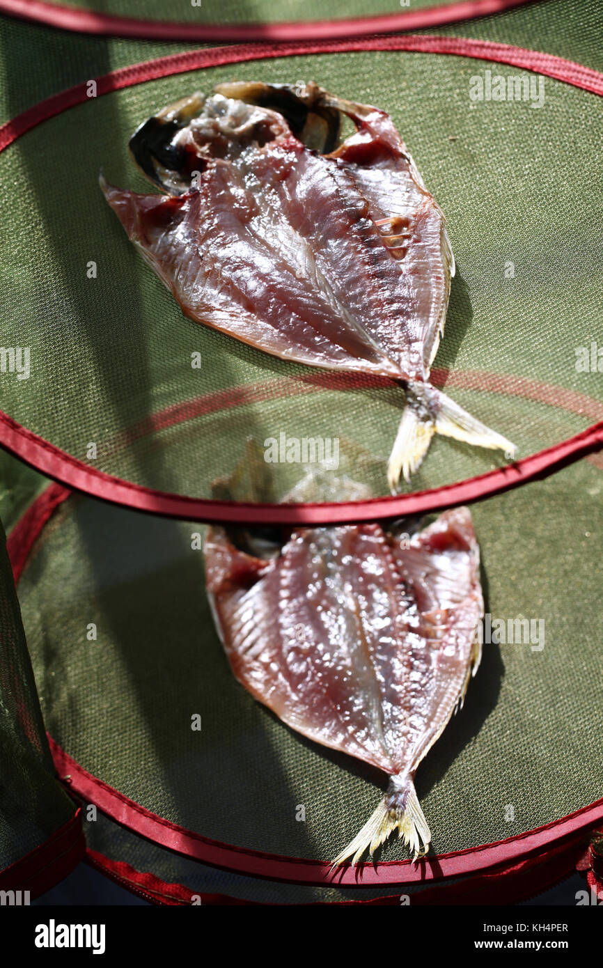 making japanese dried fish, sakana no himono, japanese food Stock Photo
