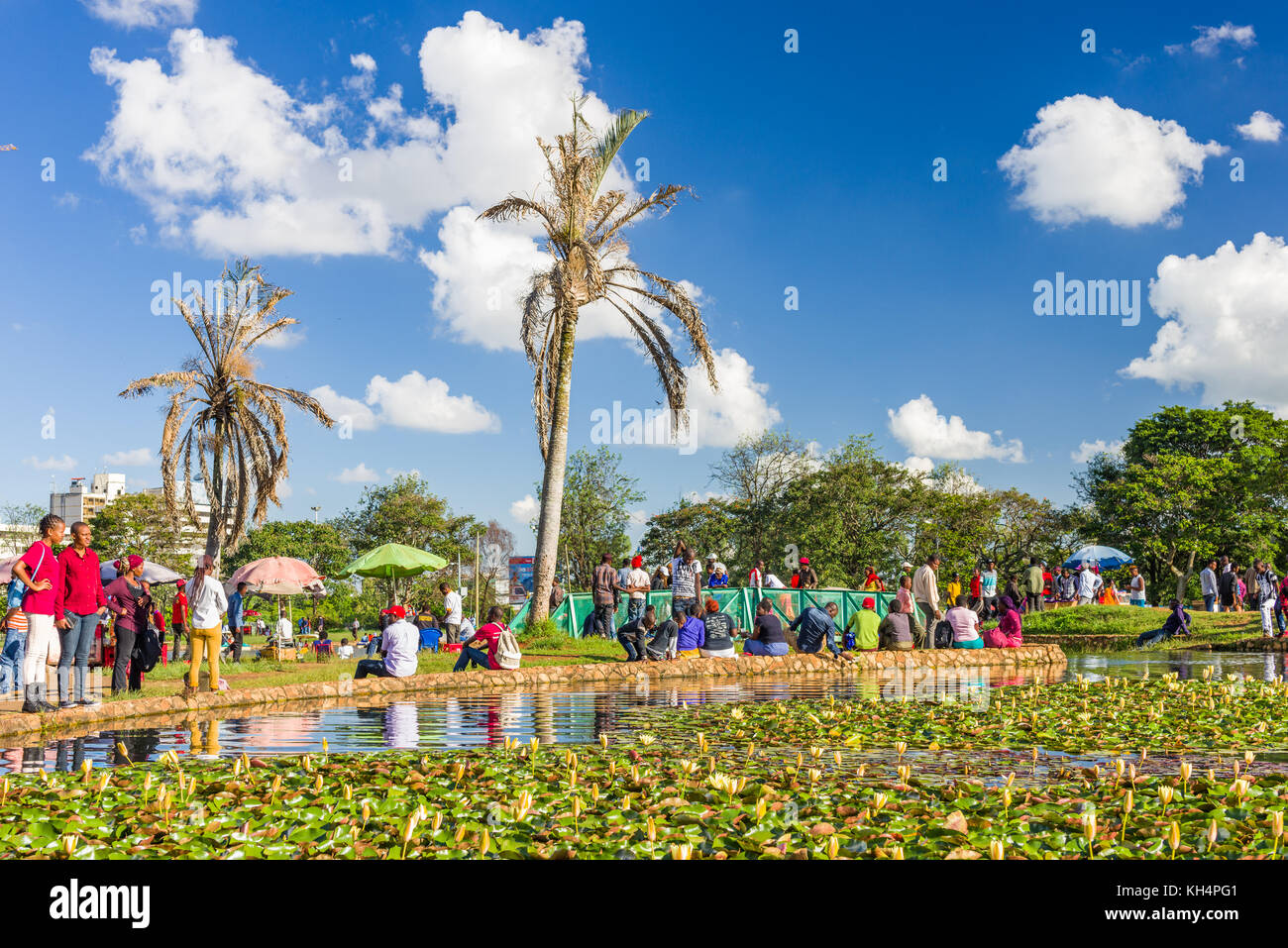 People standing by a lily lake in Uhuru Park on a sunny day, Nairobi, Kenya Stock Photo