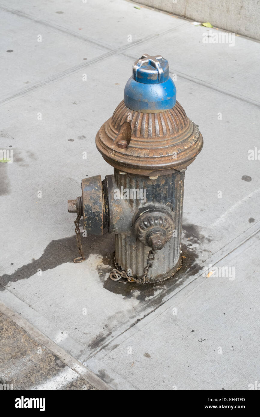 Cast iron fire hydrant, Manhattan, New York City, United States of