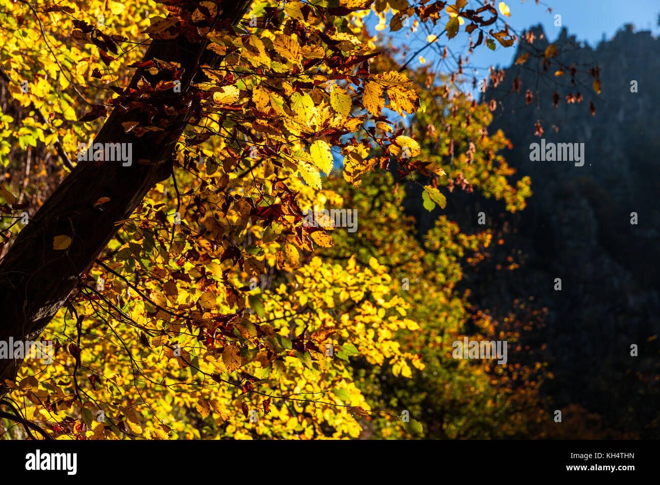 Lichtstimmung Herbstwanderung Bodetal harz Stock Photo