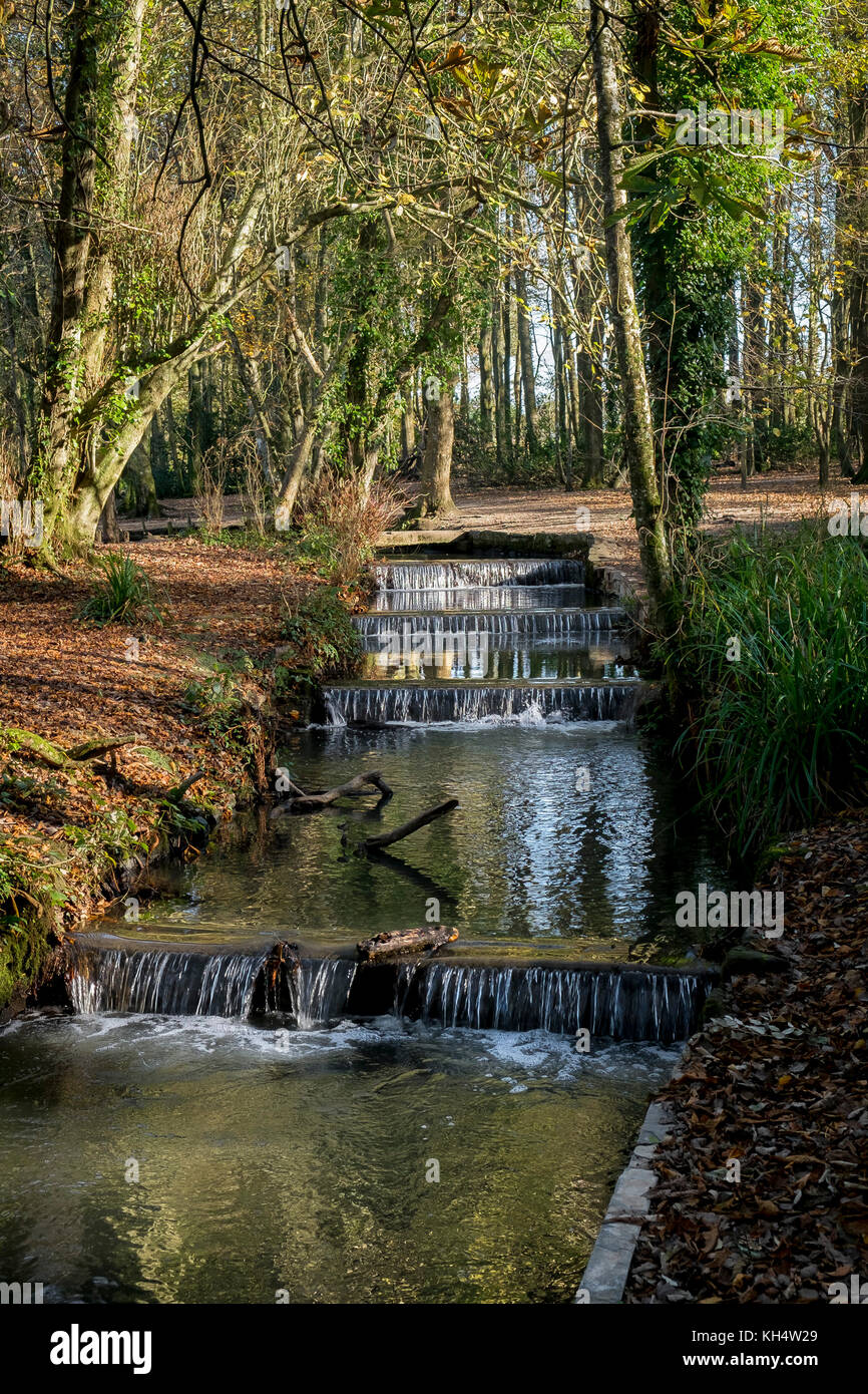 Cascades on the stream river flowing through an autumnal Tehidy Country Park Cornwall UK. Stock Photo