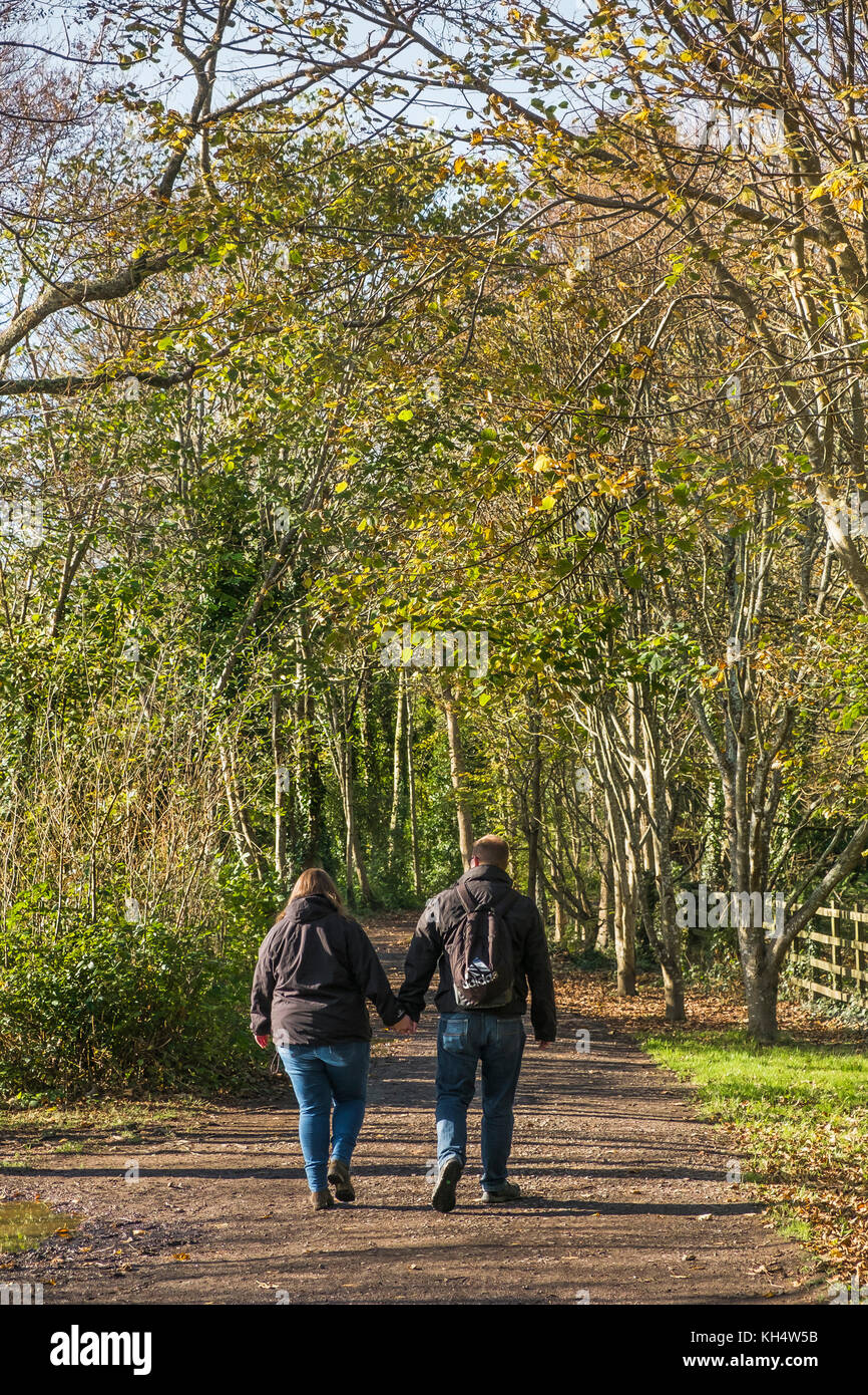 A couple people walking hand in hand through an autumnal Tehidy Country Park Cornwall UK. Stock Photo