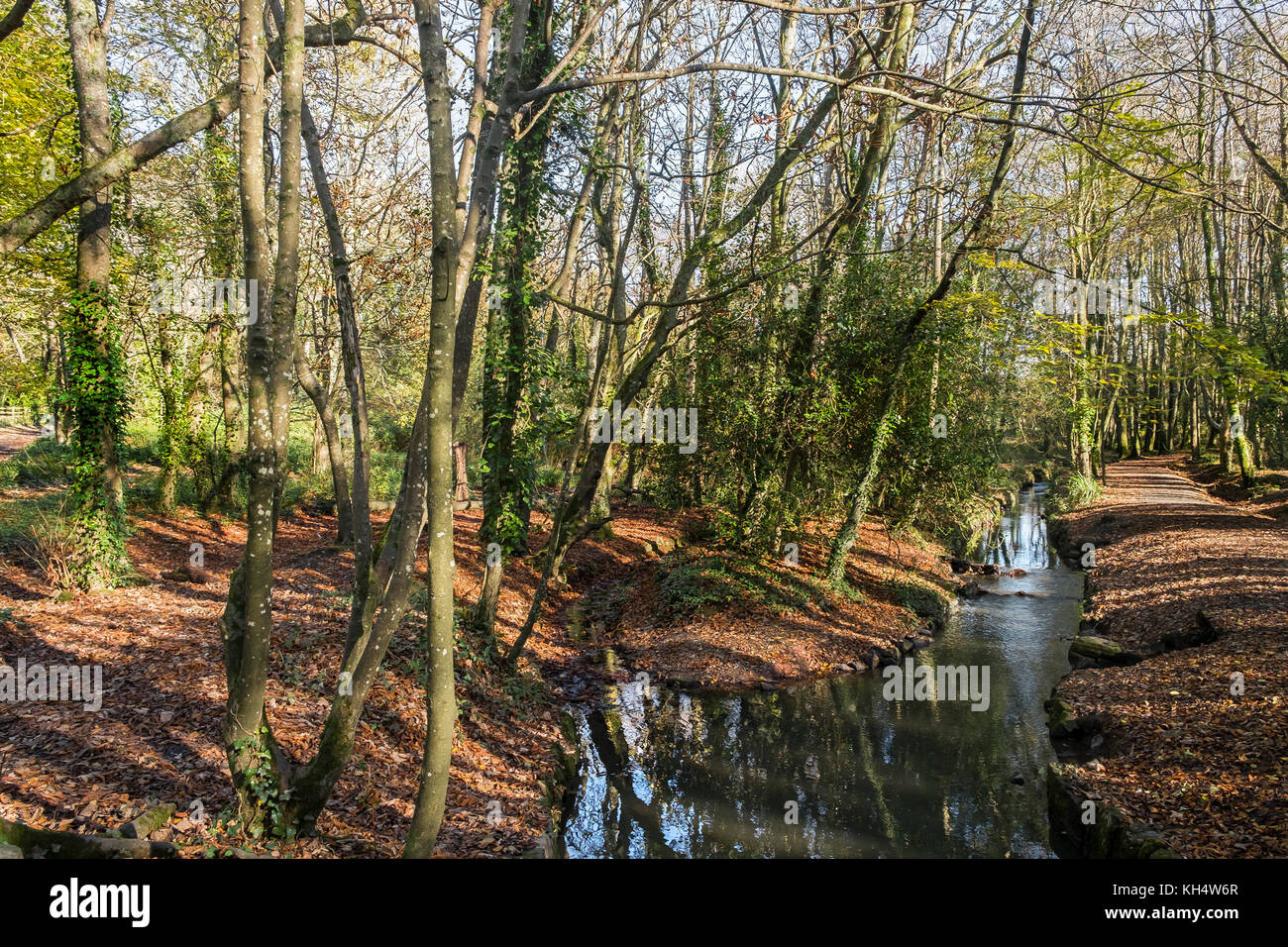 Autumnal trees by the river hi-res stock photography and images - Alamy