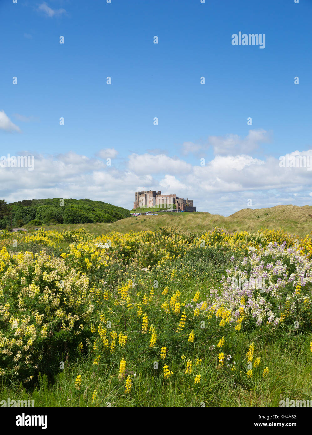 Bamburgh Castle Northumberland north east England UK medieval fortress
