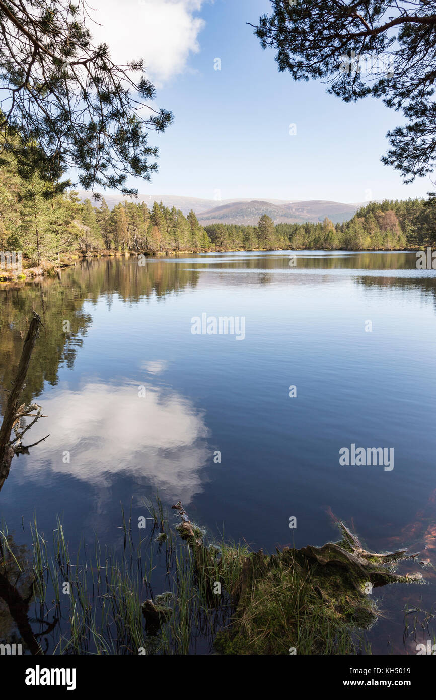 Glen feshie summer hi-res stock photography and images - Alamy