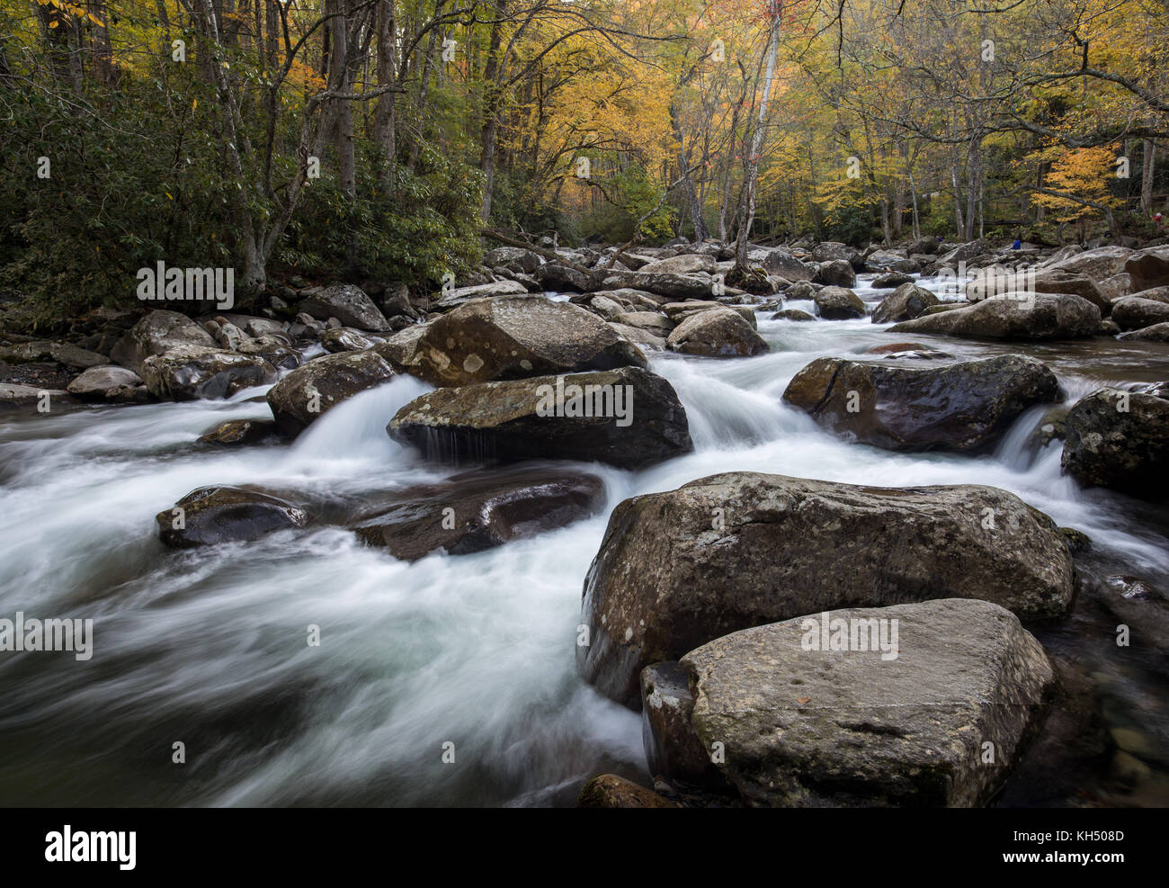 Fall morning scene along the West Prong Little Pigeon River at the Chimneys Picnic Area in Great Smoky Mountain National Park. Stock Photo