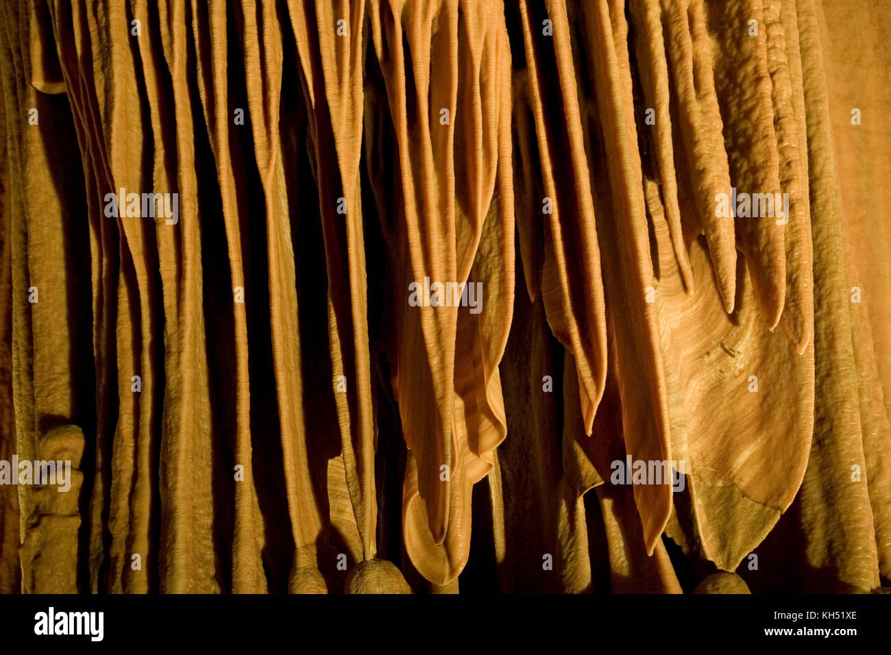 'Elephant ears' at the Soreq Stalactite Cave Nature Reserve (also called Avshalom Cave) 82-meter-long, 60-meter-wide cave is on the western slopes of  Stock Photo