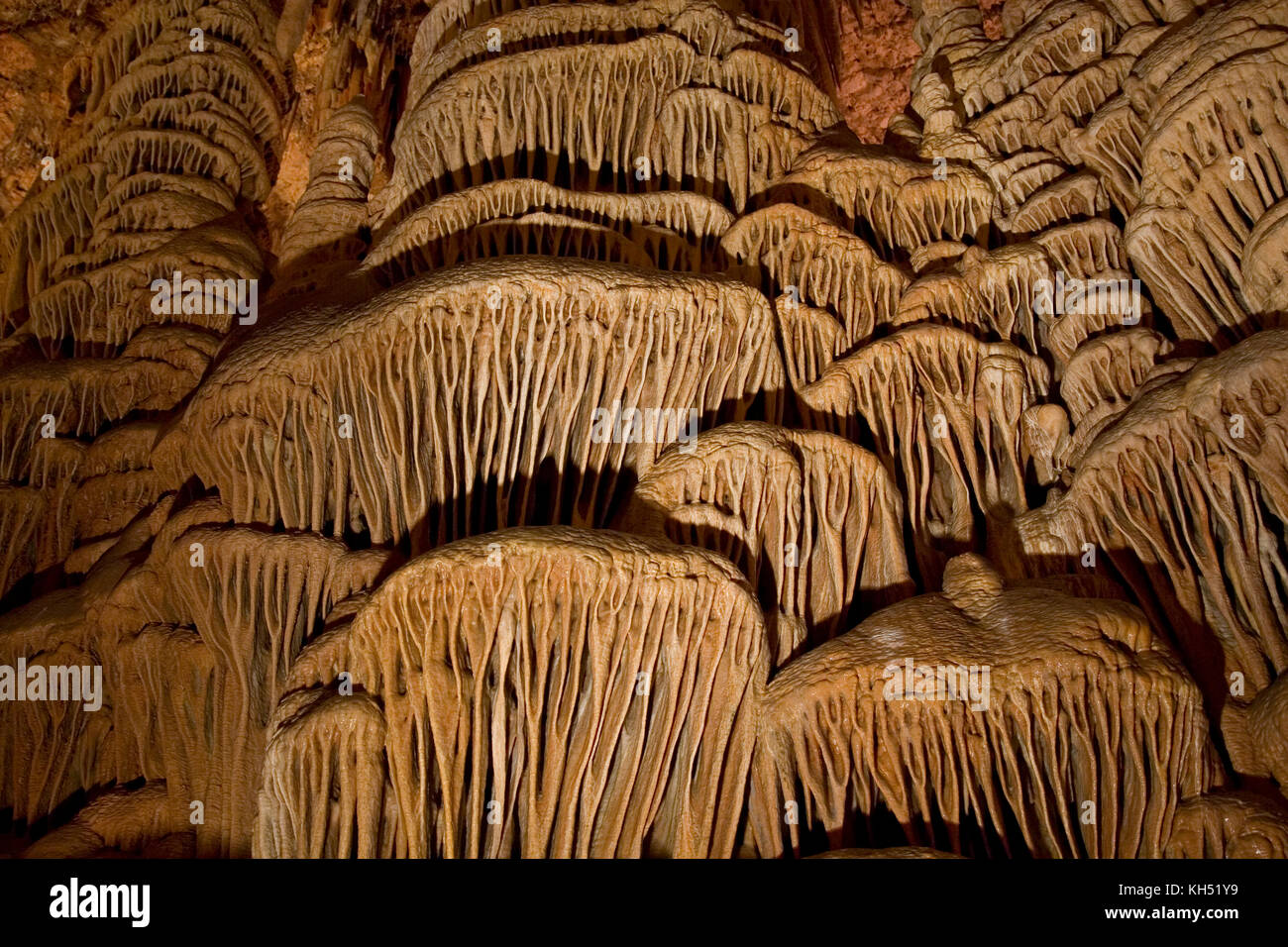Cave coral at the Soreq Stalactite Cave Nature Reserve (also called Avshalom Cave) 82-meter-long, 60-meter-wide cave is on the western slopes of the J Stock Photo