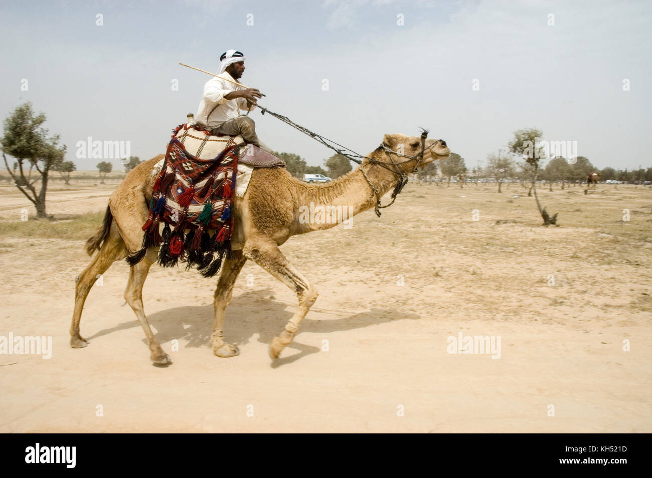 سدد دينك كلب أمريكا التفوق فقاعة يشهد biduin bukser - supportyourgoals.com