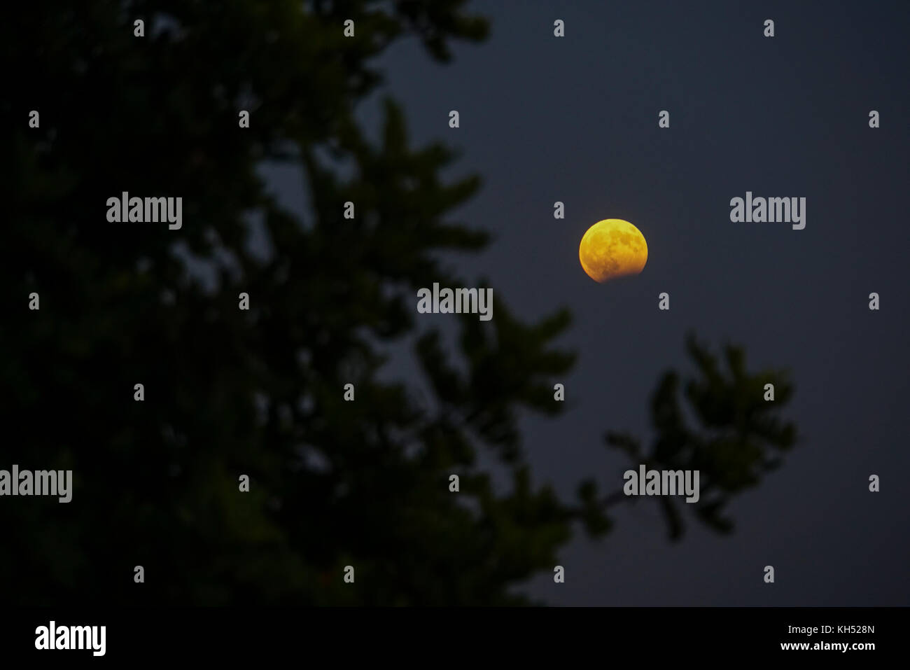 Rising moon in sky hi res stock photography and images Alamy