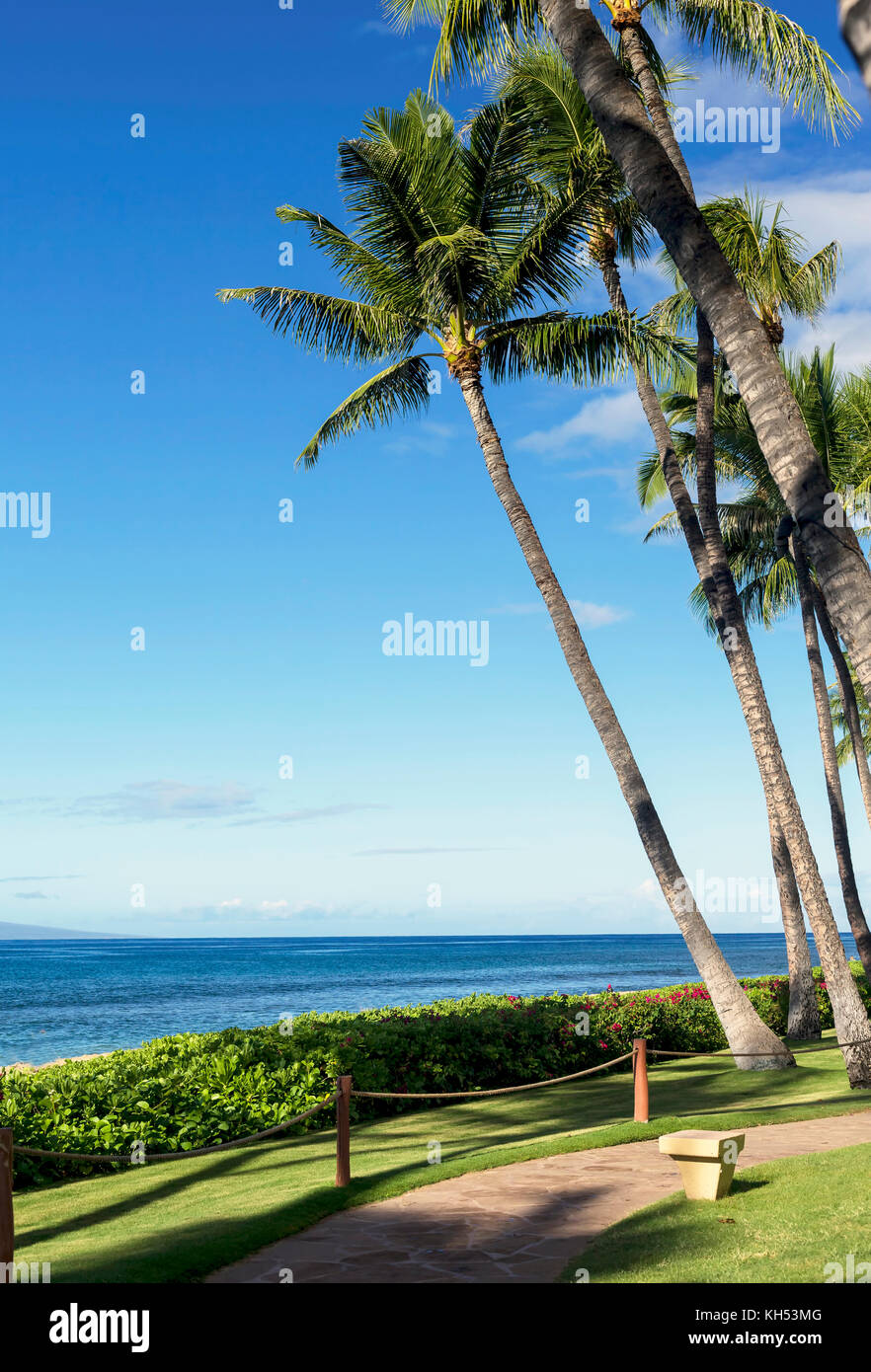 Ka’anapali beach resort hi-res stock photography and images - Alamy