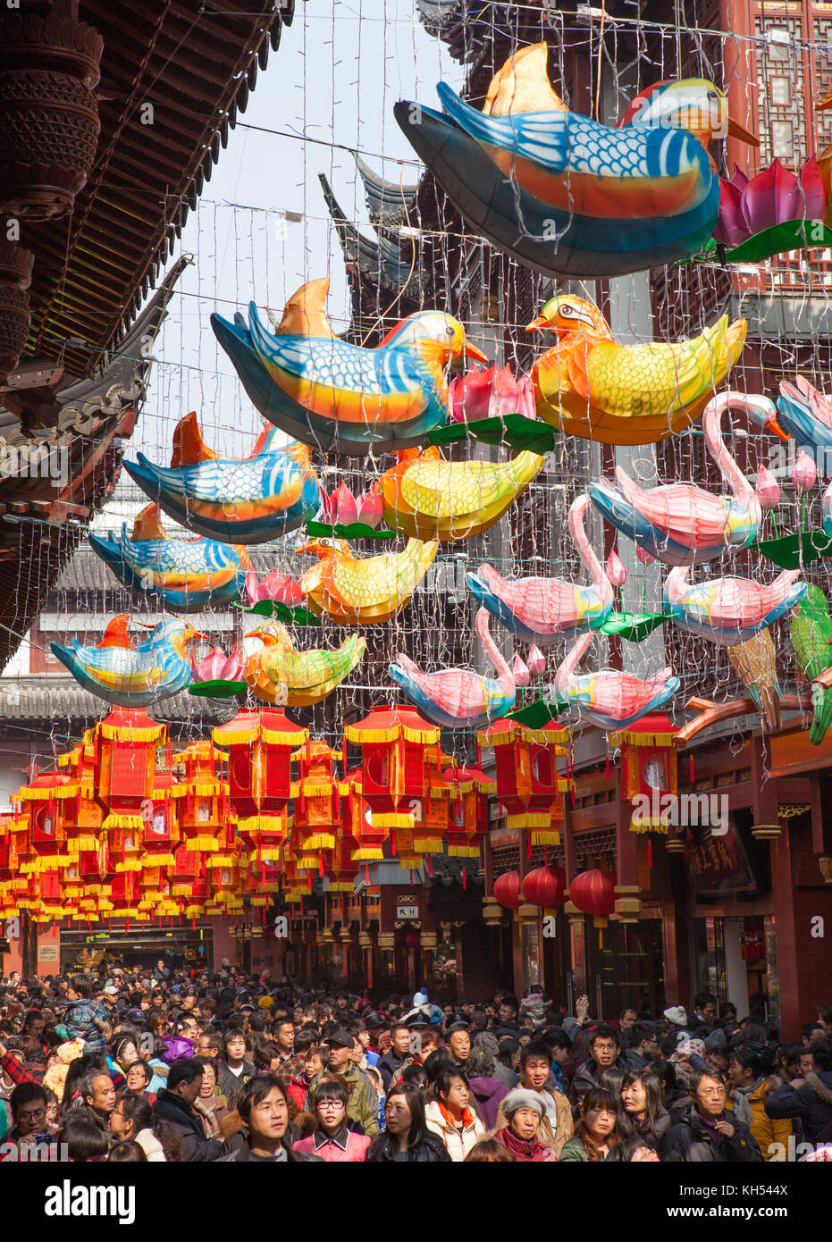 chinese new year shanghai youtube