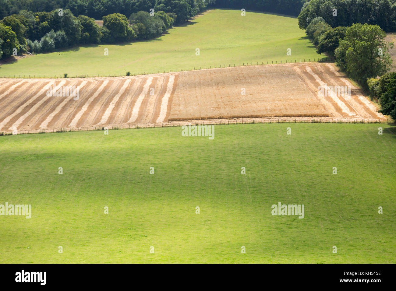Field patterns at Chartham Downs on the North Downs, Canterbury, Kent Stock Photo