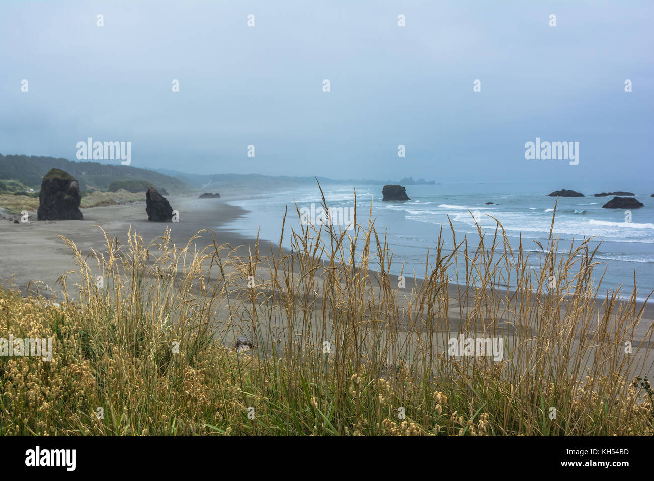 Sand beach along the Brookings coast, Oregon Stock Photo