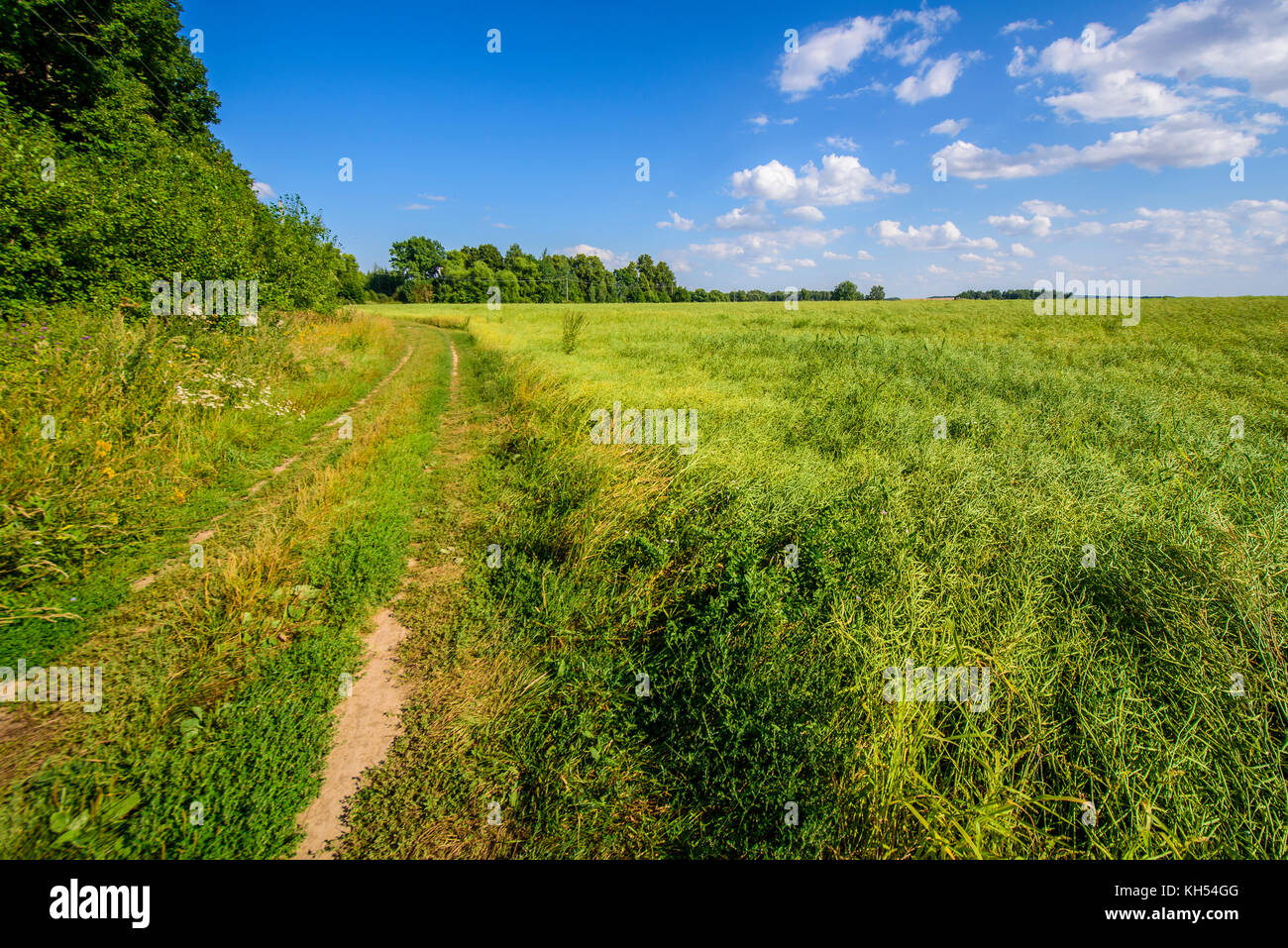 Darovoe, Moscow region. Russia Stock Photo - Alamy