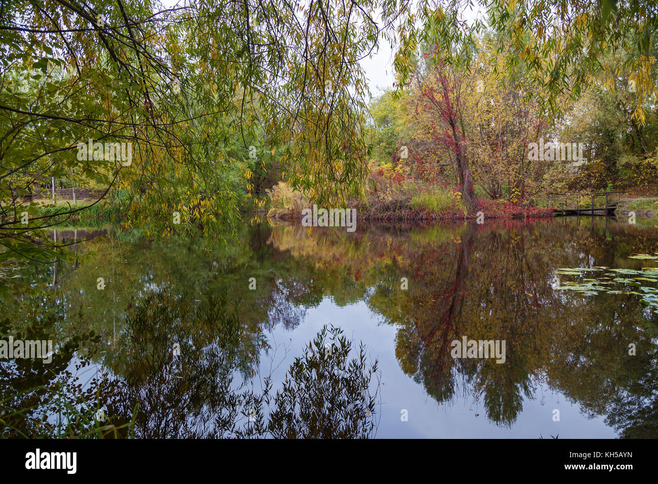 beautiful autumn landscape with reflections in the water Stock Photo ...