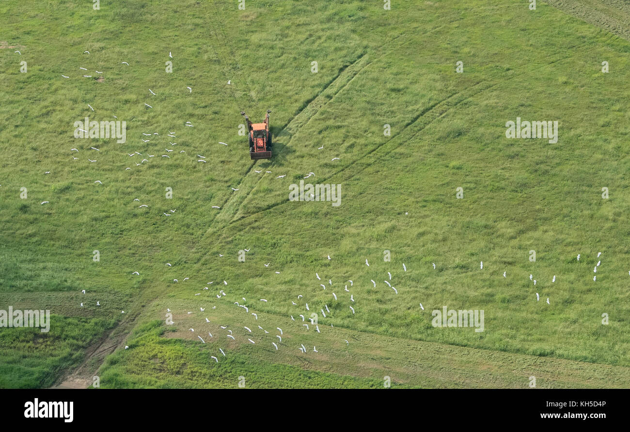 U.S. Secretary of Agriculture Sonny Perdue surveying agricultural damage from Hurricane Harvey