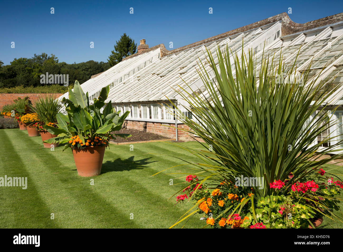 UK, England, Essex, Saffron Walden, Audley End House Kitchen Garden, the Vine House Stock Photo