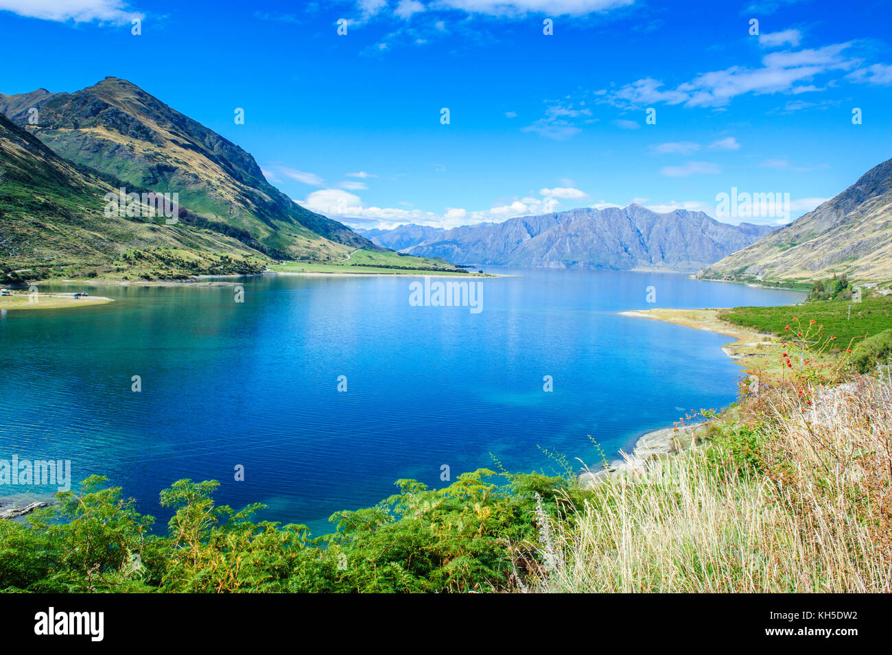 Lake Hawea, Haast Pass, South Island, New Zealand Stock Photo - Alamy