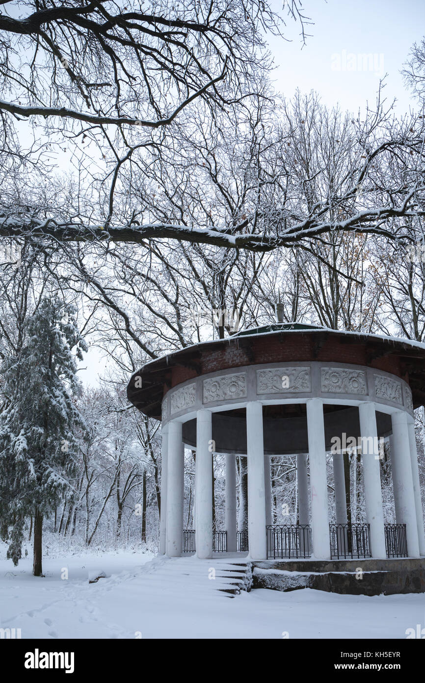 Beautiful winter snowy landscape in the park Stock Photo - Alamy