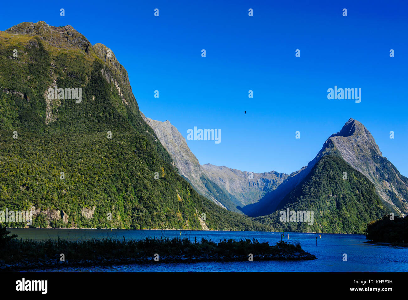The steep cliffs of Milford Sound, South Island, New Zealand Stock ...
