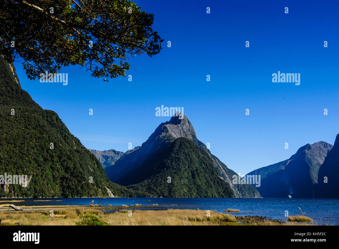 The steep cliffs of Milford Sound, South Island, New Zealand Stock ...