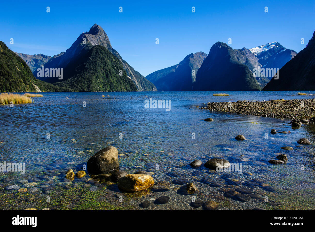 The steep cliffs of Milford Sound, South Island, New Zealand Stock ...